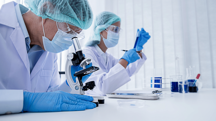 Scientists examining the composition of Dermalax fillers.