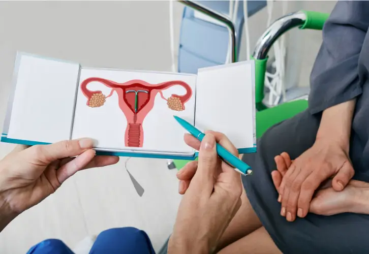 https://shop.doctormedica.co/wp-content/uploads/2024/09/IUD1.webp
