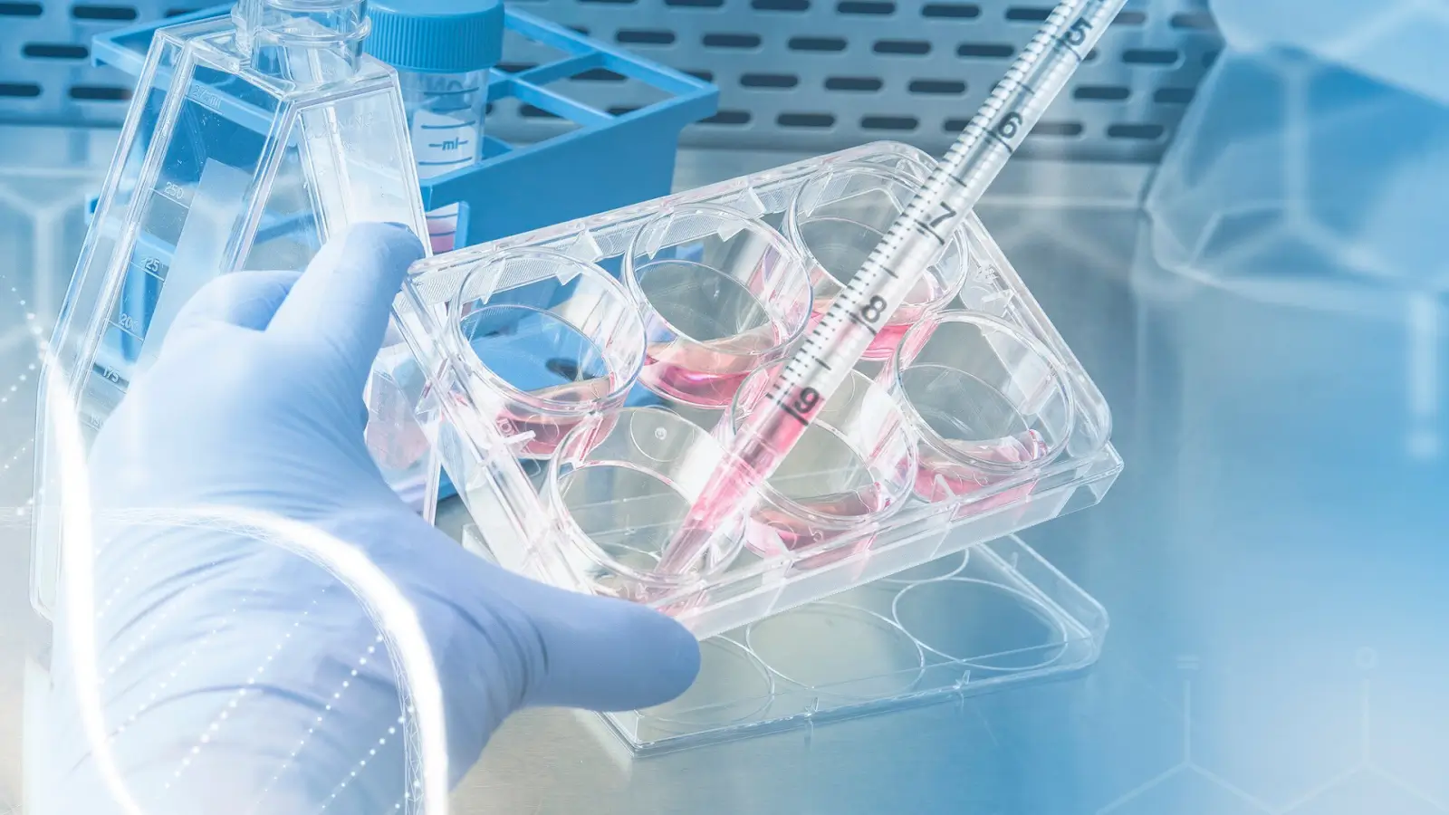 Person in laboratory. 