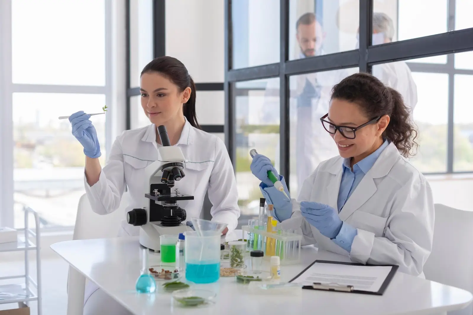 Experts checking and testing substances in a laboratory setting.