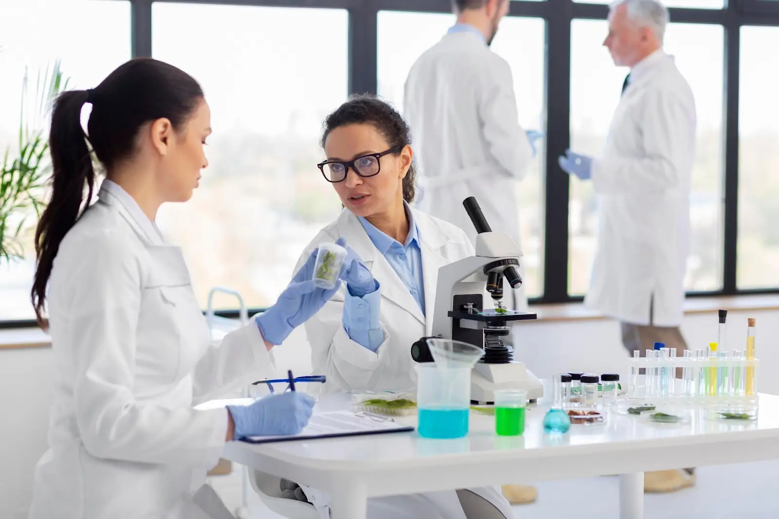 https://shop.doctormedica.co/wp-content/uploads/2025/04/1-13.webp